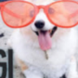 Meet your Posher, Dombledork